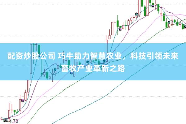 配资炒股公司 巧牛助力智慧农业,科技引领未来畜牧产业革新之路
