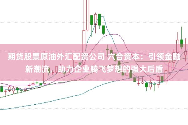期货股票原油外汇配资公司 六合资本：引领金融新潮流，助力企业腾飞梦想的强大后盾