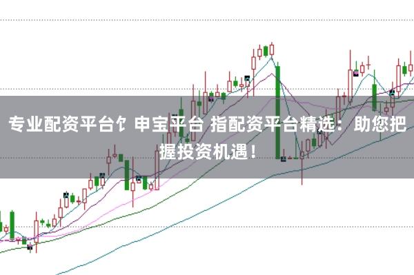 专业配资平台饣申宝平台 指配资平台精选：助您把握投资机遇！